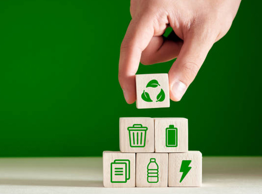 Go Green: Sustainable Biz Trends to Watch
