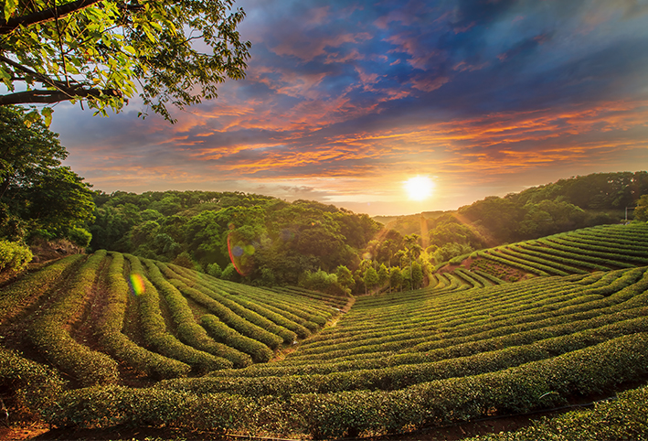 The Ultimate Guide to Budget Travel: Explore More, Spend Less