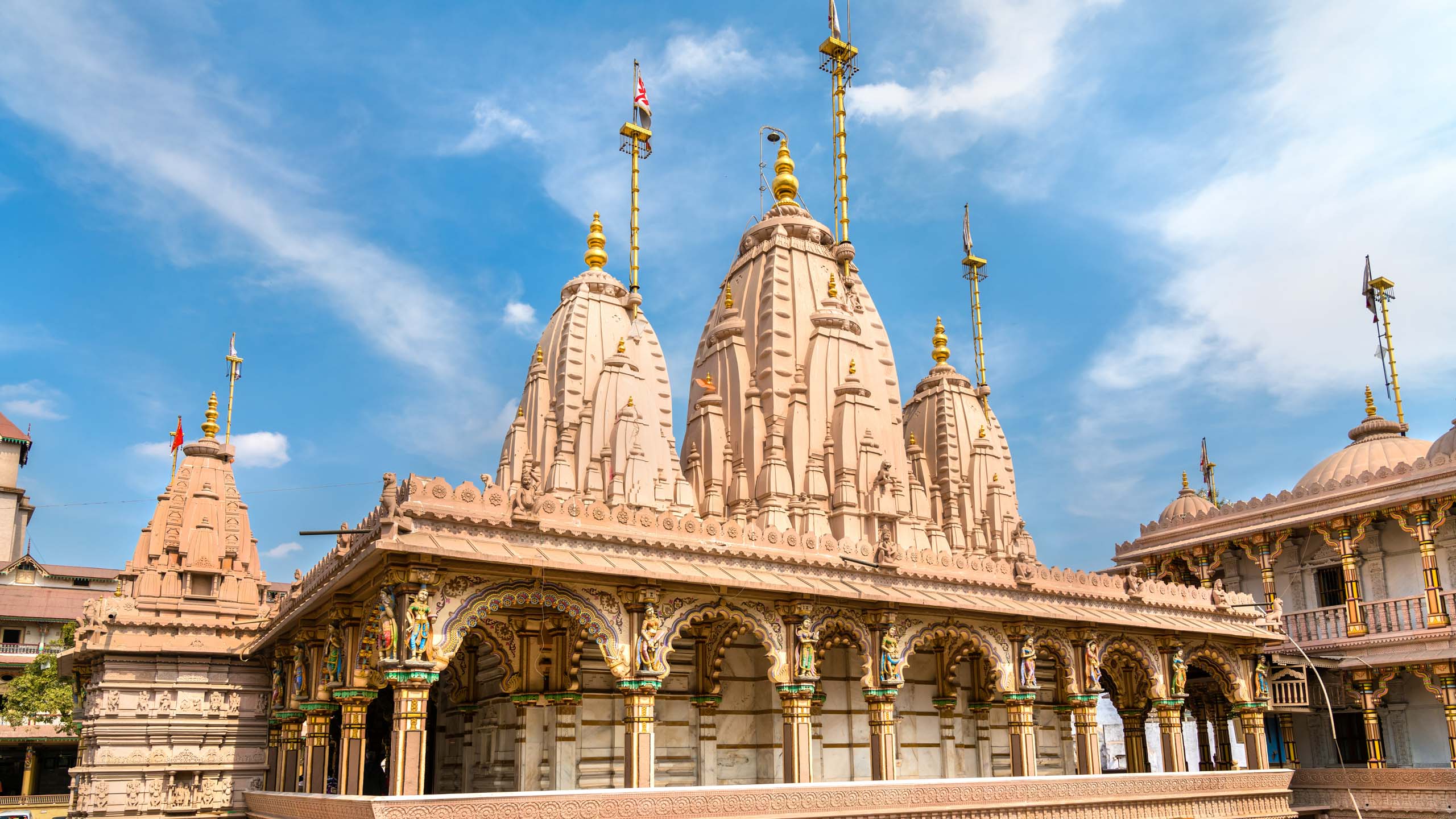 Gujarat Travel: Temples, Wildlife & Culture