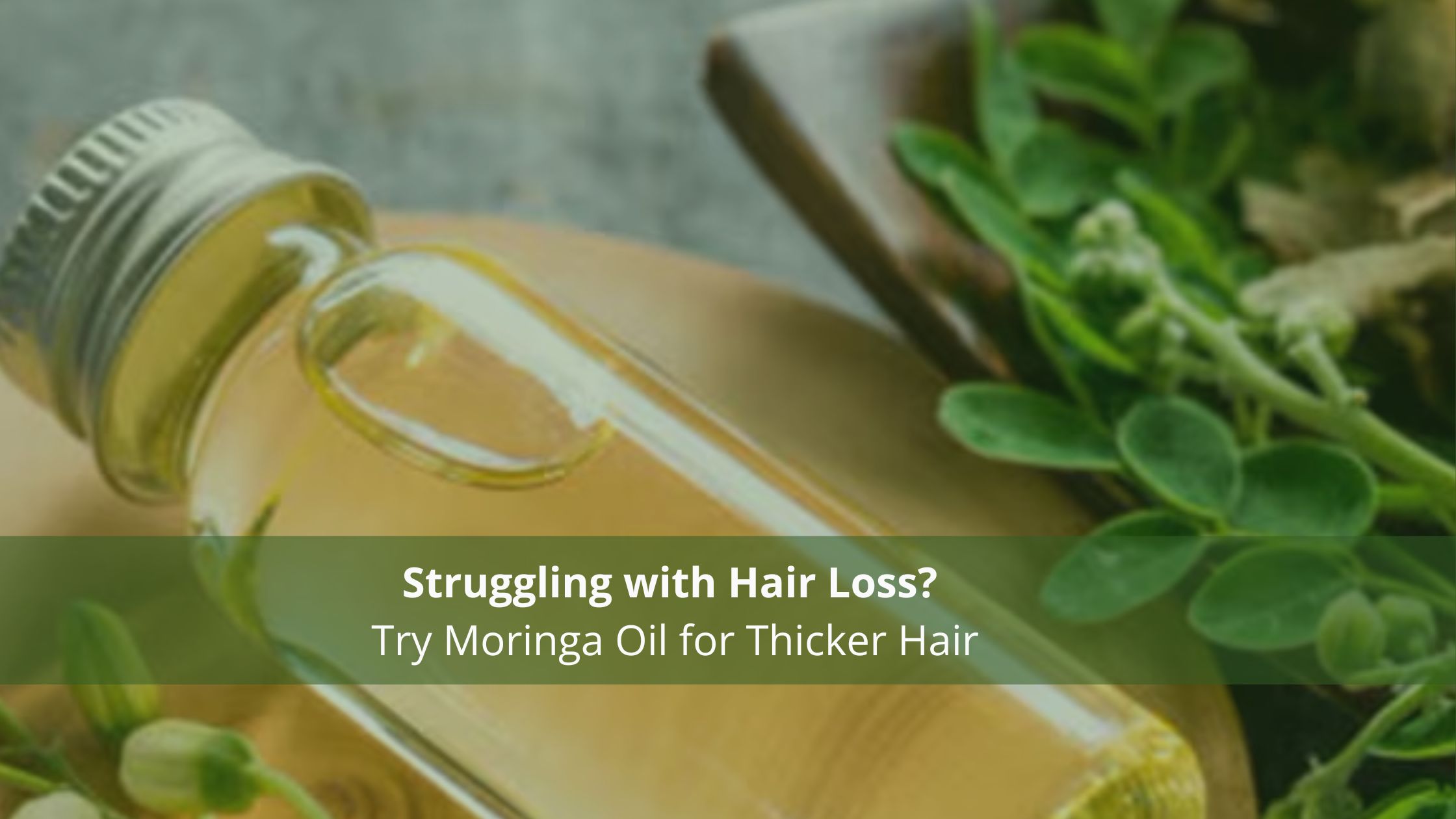 Struggling with Hair Loss? Try Moringa Oil for Thicker Hair