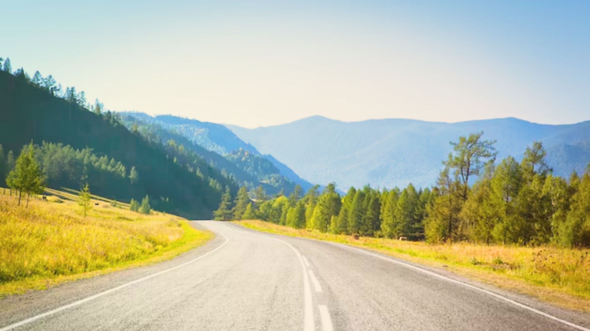 How to Plan the Perfect Road Trip in the Himalayas