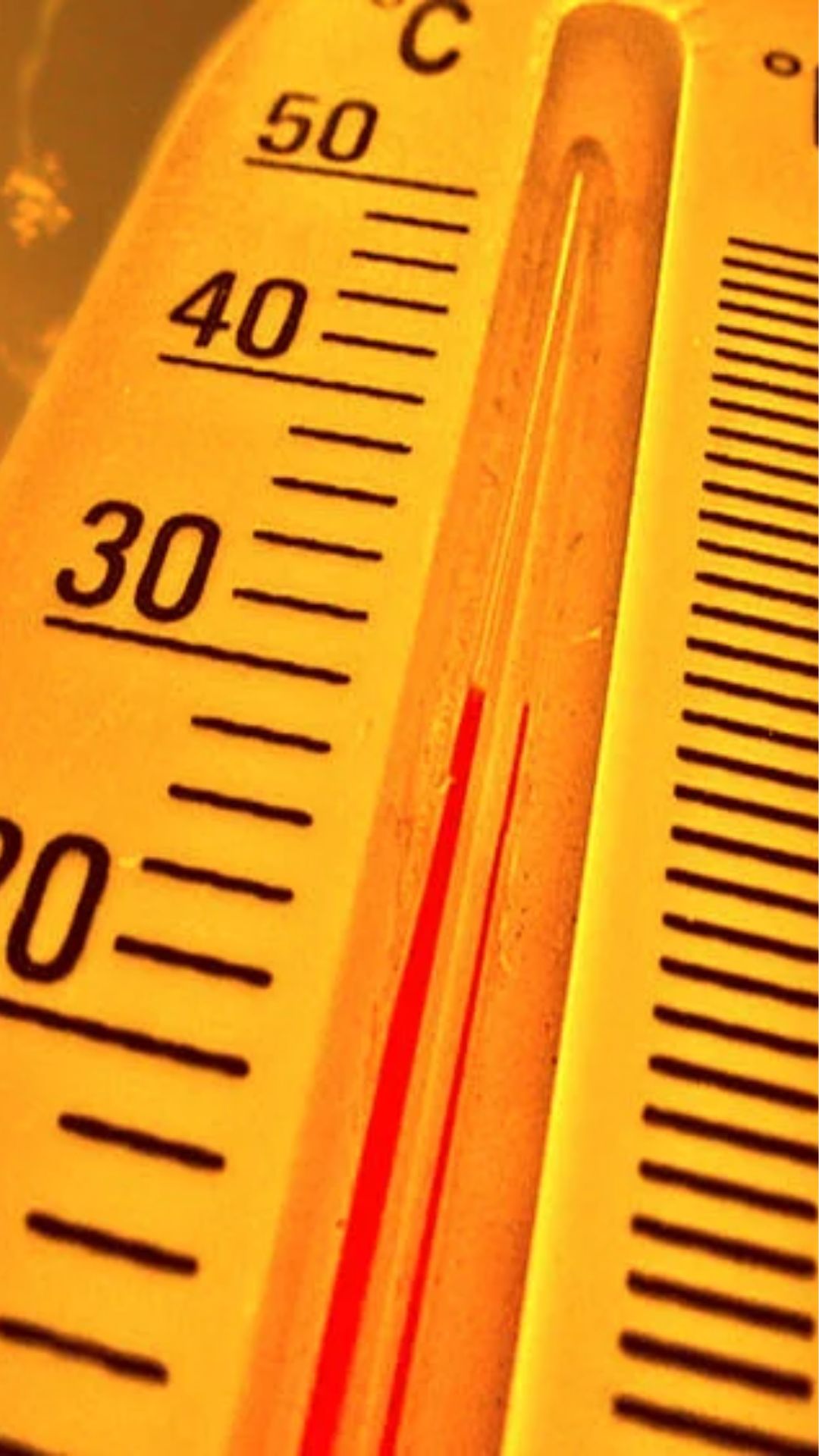 India Summer 2025 Alert: Brace for Intense Heatwaves!